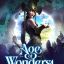 Age of Wonders 4